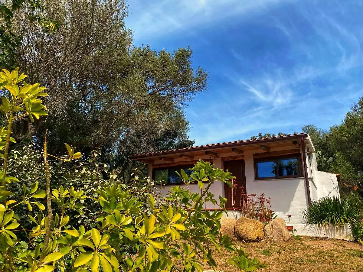 Agriturismo Saltara Villa Santa Teresa Gallura Italy