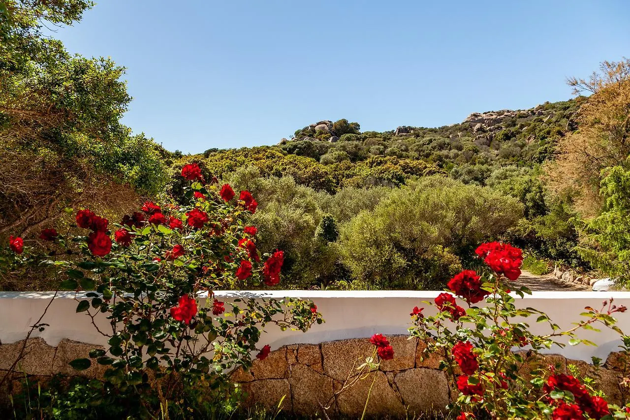 Farm stay Agriturismo Saltara Villa Santa Teresa Gallura